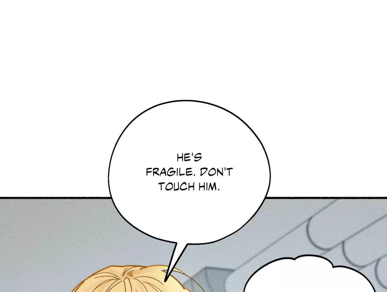 Page 229