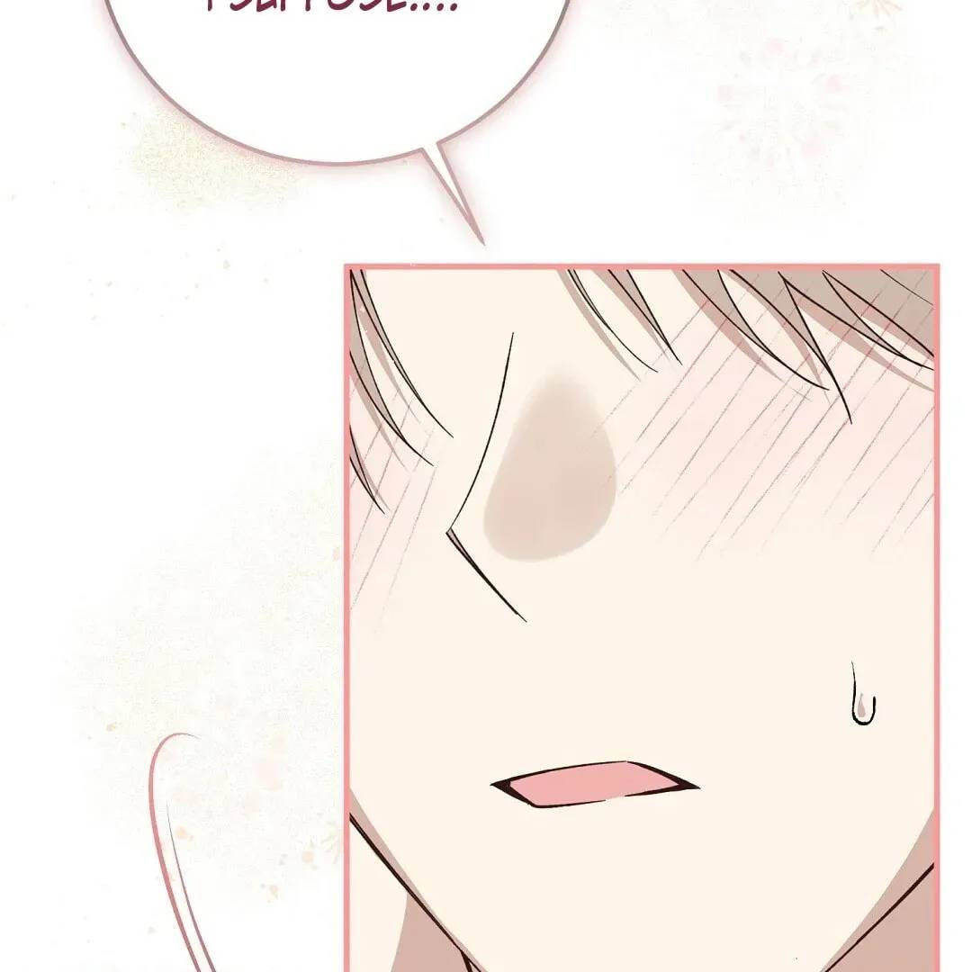 Page 244
