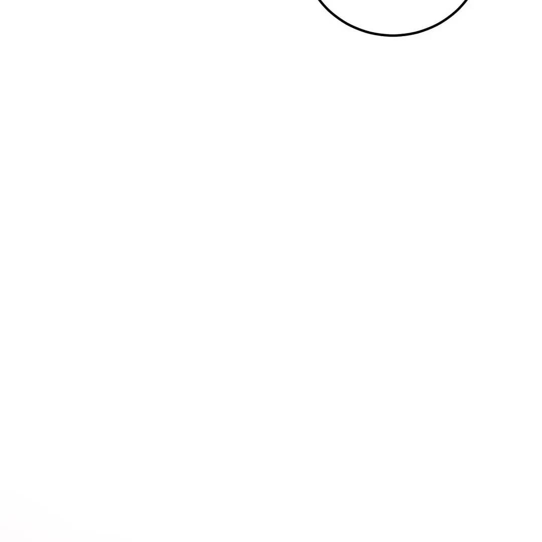 Page 215