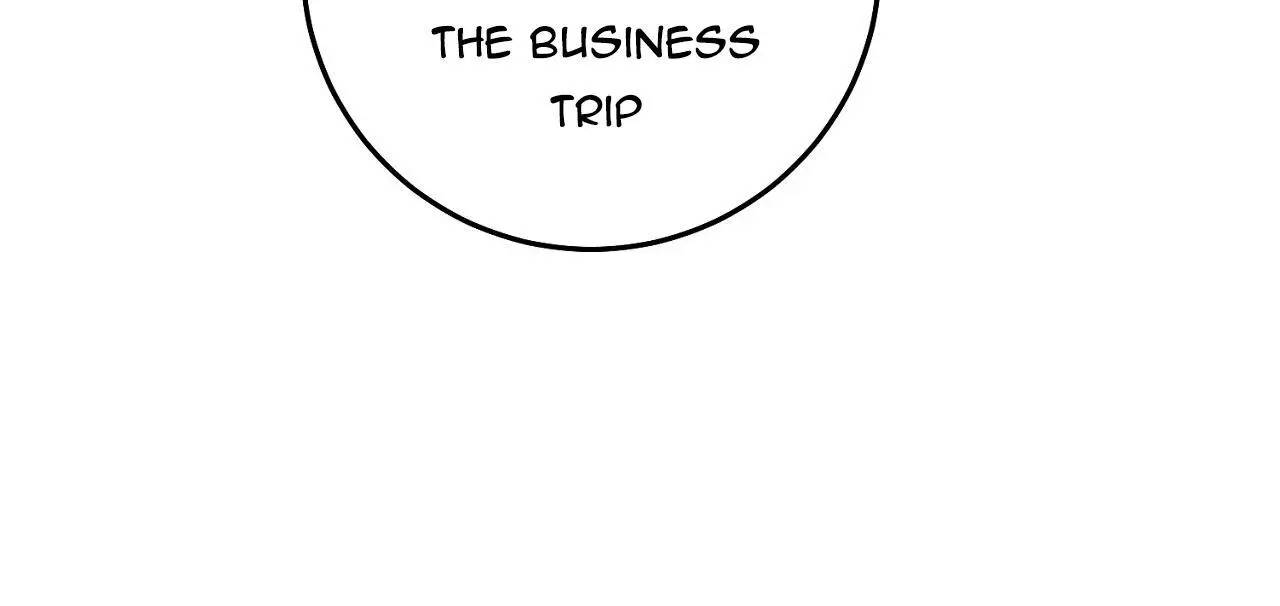 Page 242